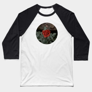 Red rose with drops Baseball T-Shirt